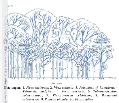 Gambar 4 Profil habitat hutan sekunder 