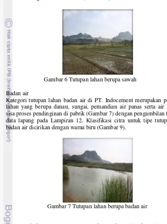 Gambar 6 Tutupan lahan berupa sawah 