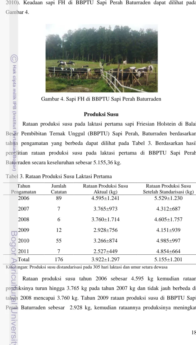 Gambar 4. Sapi FH di BBPTU Sapi Perah Baturraden  Produksi Susu 