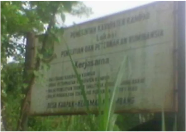 Tabel 1. Populasi Ternak di UPT Ruminansia Besar Dinas Peternakan Kabupaten  Kampar