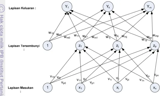 Gambar  2  (Siang  2004)  adalah  contoh  arsitektur  propagasi  balik  dengan  n  buah  masukan  (ditambah  sebuah  bias),  sebuah  lapisan  tersembunyi  yang  terdiri  dari  p  unit  (ditambah  sebuah  bias),  serta  m  buah  unit  keluaran