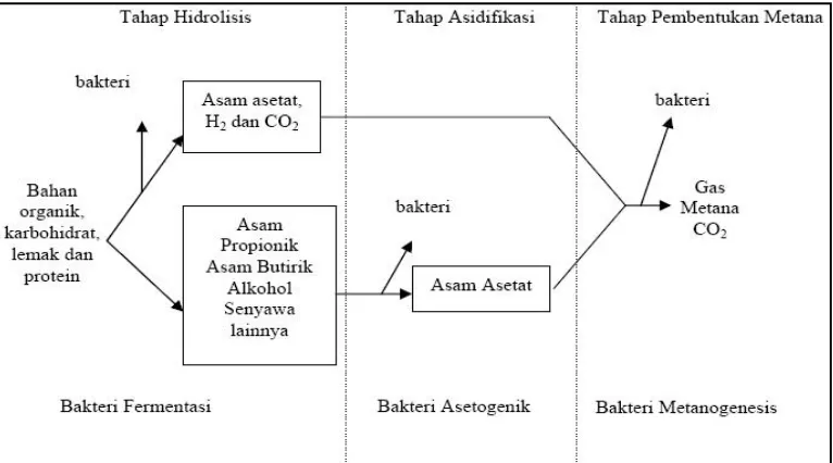 Gambar 1. Proses Pembentukan Biogas. 