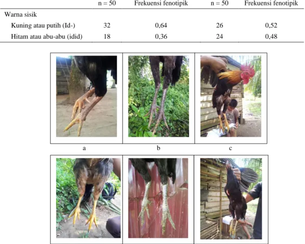 Tabel 4.  Frekuensi  fenotipik  warna  sisik  hasil  pengamatan  pada  ayam  Kampung  jantan dan betina di  Desa  Menaming 