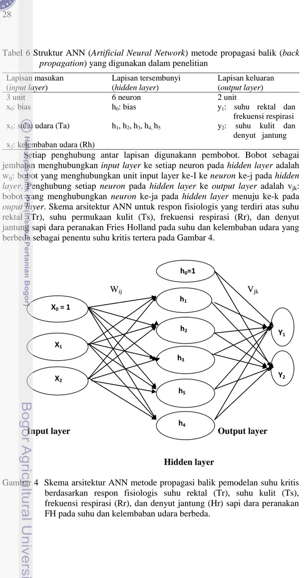 Tabel  6 Struktur ANN (Artificial Neural Network) metode propagasi  balik (back  propagation) yang digunakan dalam penelitian 