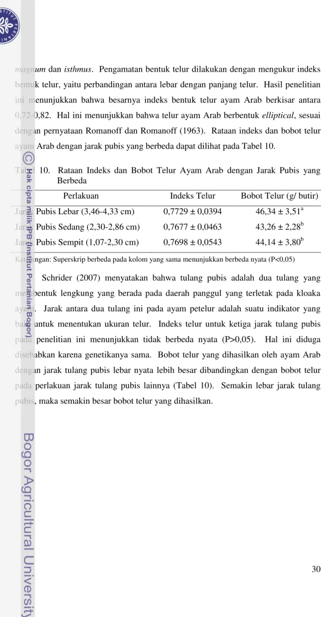 Tabel 10.    Rataan  Indeks  dan  Bobot  Telur  Ayam  Arab  dengan  Jarak  Pubis  yang Berbeda