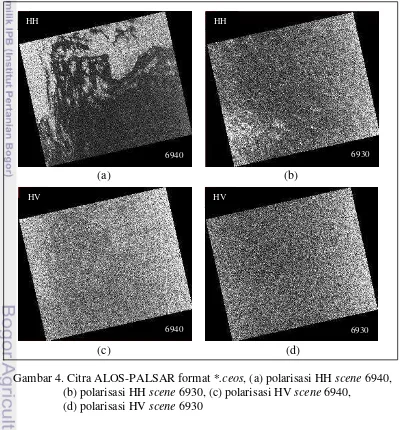 Gambar 4. Citra ALOS-PALSAR format *.ceos, (a) polarisasi HH scene 6940, 