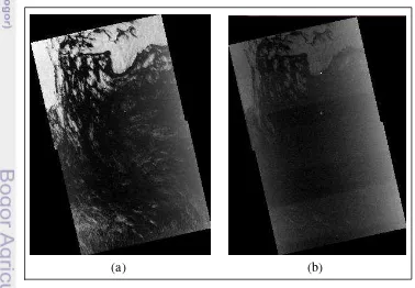 Gambar 7. Citra ALOS-PALSAR hasil filter low_freq, (a) polarisasi HH,  (b) polarisasi HV 