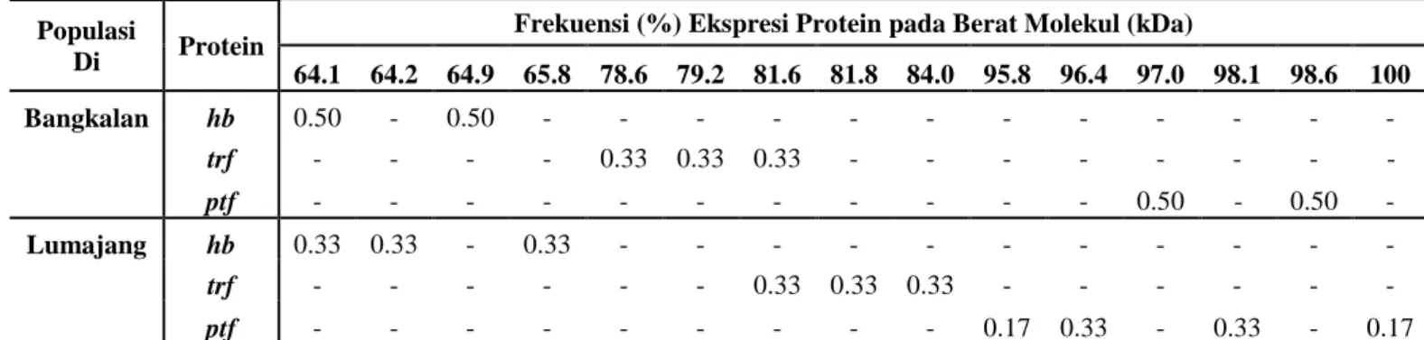 Tabel 1.2 Frekuensi Ekspresi Protein dari  Populasi Bangkalan dan Lumajang  Populasi 