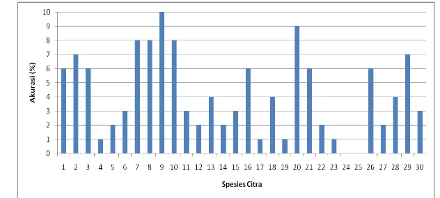 Gambar 13 Grafik perbandingan akurasi per spesies  k-means clustering 