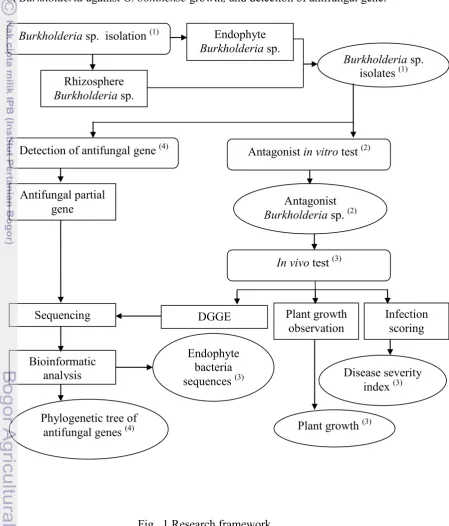 Fig.  1 Research framework 