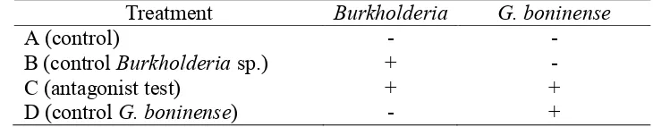 Table 2 Treatments of Burkholderia sp and G. boninense on oil palm seedling, 