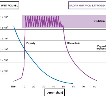 Gambar 2. Hubungan kadar hormon estrogen dengan usia (Fritz, 2010). 