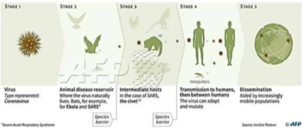 Gambar 2. 1 Ilustrasitransmisi Coronavirus 