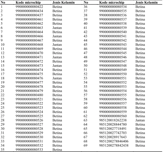 Tabel 1. Hasil identifikasi jenis kelamin setiap individu burung pelikan (P. conspicillatus)  