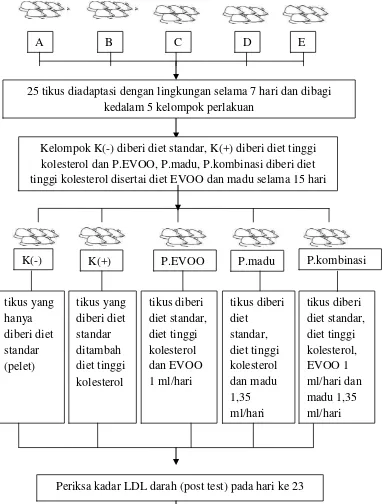 Gambar 3.1. Diagram alur penelitian 