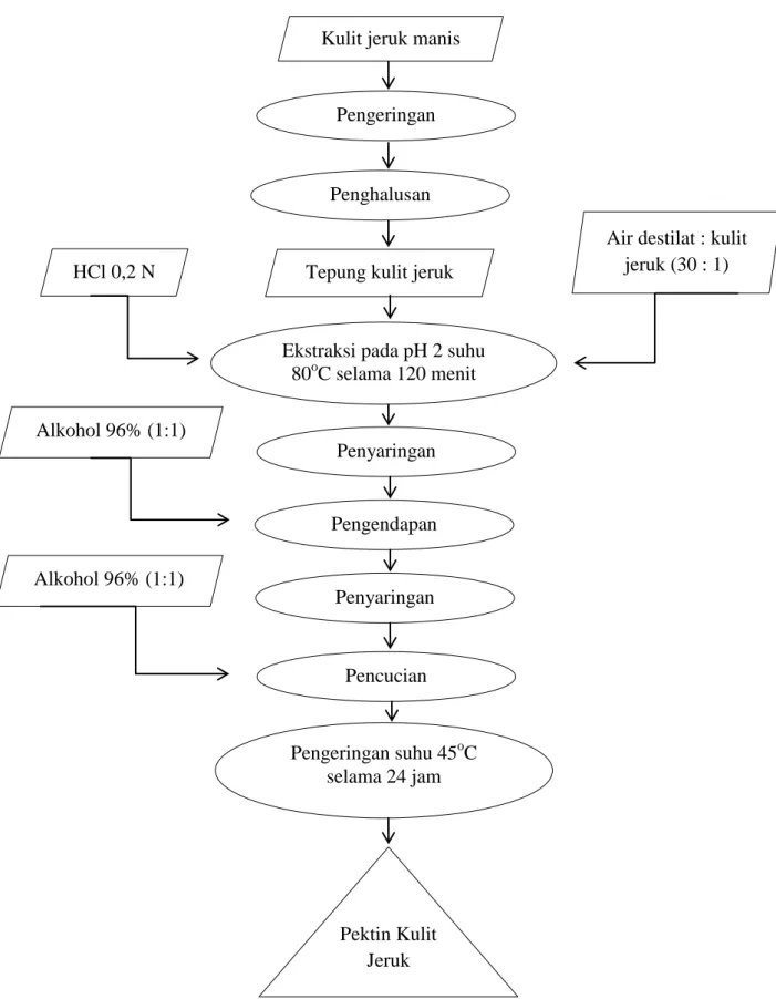 Ilustrasi 1.  Diagram Alir Pembuatan Pektin (Sulihono et al., 2012) 