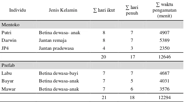 Tabel 4.1 Jenis kelamin dan jumlah waktu pengamatan individu orangutan 