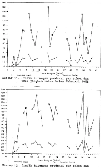 Gambar 1 2 .  Grafik hubungm produksi per pohon dan ut* 1986. 
