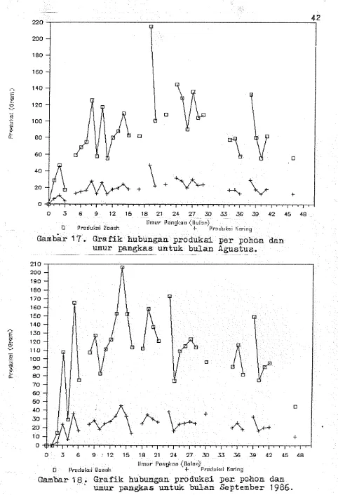 Grafik hubungan pnoduksi p e r  po;hon dan umur parngkas untuk b d a n  September 1986