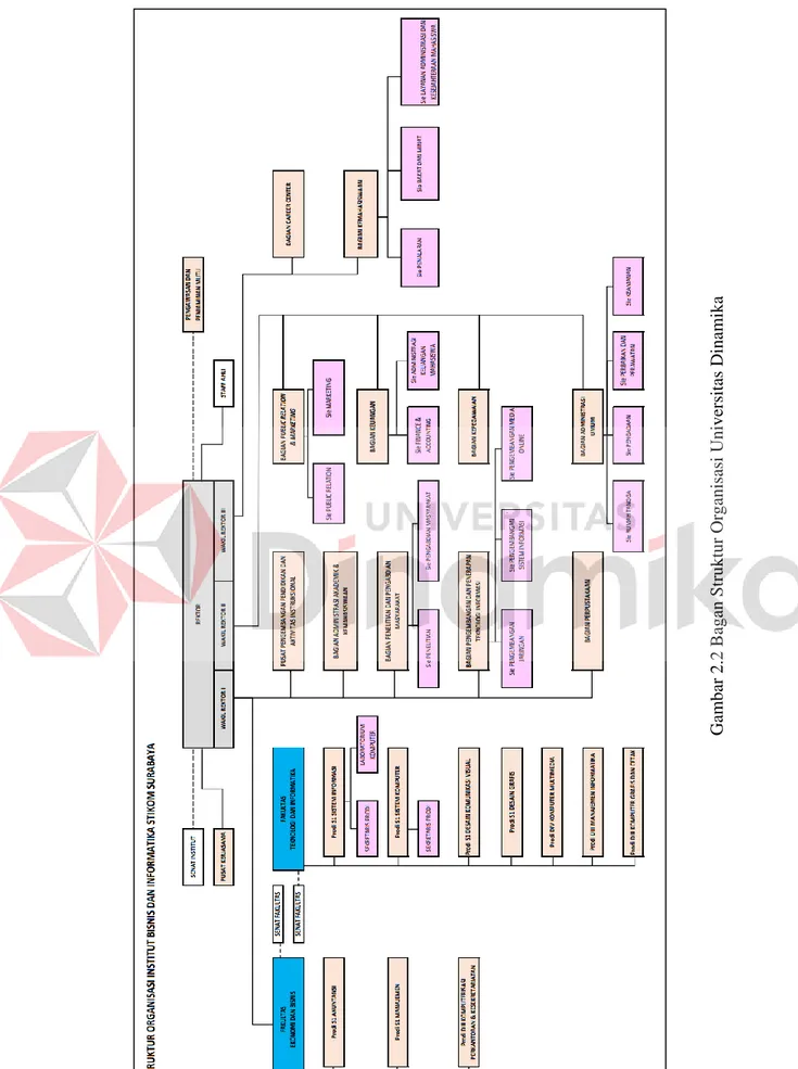 Gambar 2.2 Bagan Struktur Organisasi Universitas Dinamika