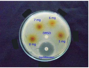 Gambar 2. Hasil uji aktivitas antibakteri ekstrak etanol buah adas ( Foeniculum vulgare Mill.) terhadap S
