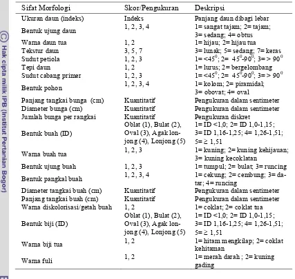 Tabel  3   Sifat-sifat morfologi tanaman pala dan kategori pengukurannya 