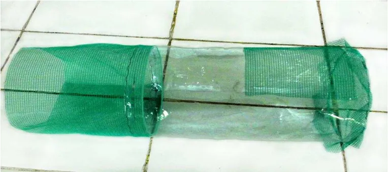 Gambar 3. Kurungan serangga untuk P. marginatus. Terbuat dari plastik mika dan kain kasa, berukuran panjang 10 cm dengan diameter 4 cm