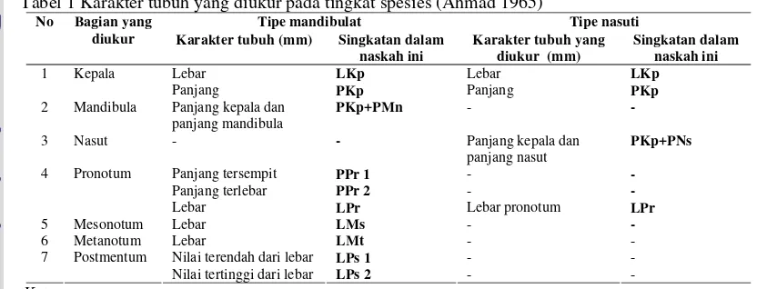 Tabel 1 Karakter tubuh yang diukur pada tingkat spesies (Ahmad 1965)  