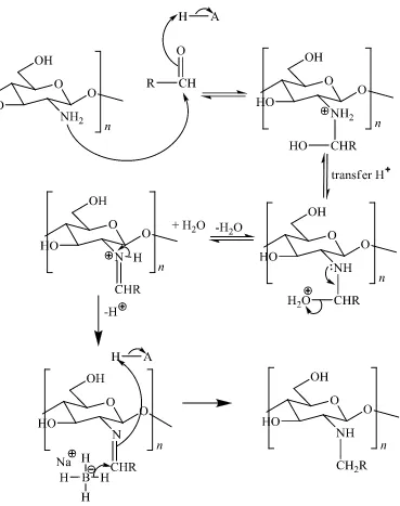 Gambar 4  Mekanisme reaksi aminasi reduktif pada kitosan 