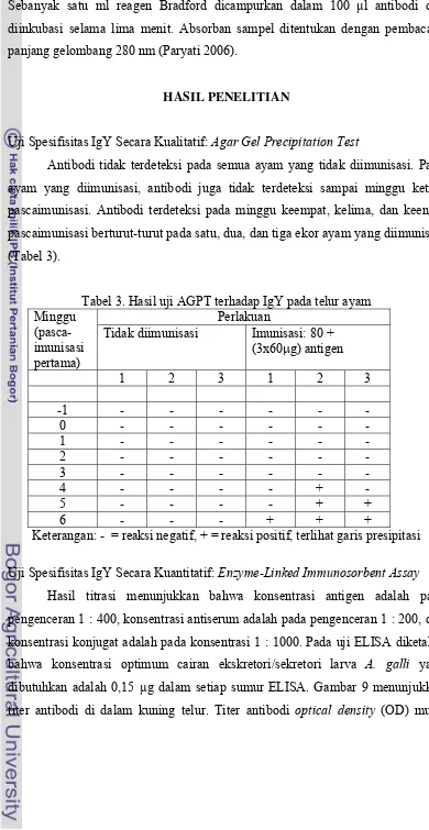 Tabel 3. Hasil uji AGPT terhadap IgY pada telur ayam 