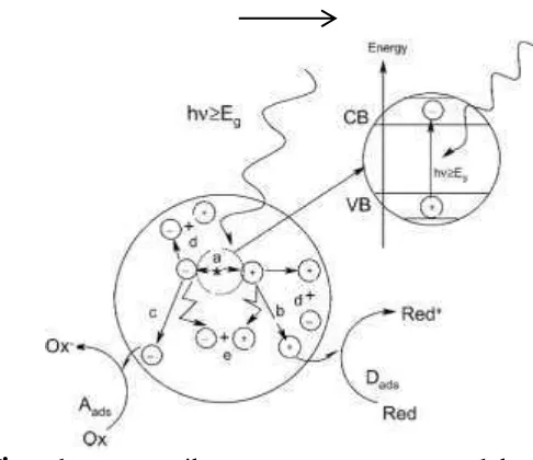 Gambar 4 Skema Proses Fotokatalitik (Arutanti et al., 2009) 