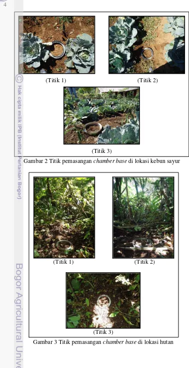 Gambar 3 Titik pemasangan chamber base di lokasi hutan 