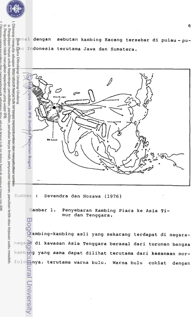 Gambar  1.  Penyebaran Kambing  Piara ke Asia Ti-  mur dan Tenggara. 