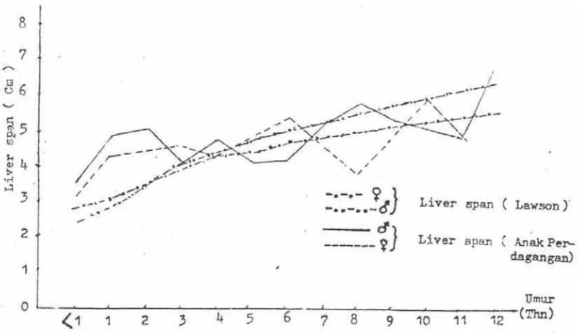 Grafik B. Liverspan rata-rata liver span anak desa Perdagangan Seberang dan liverspan standard Lawson