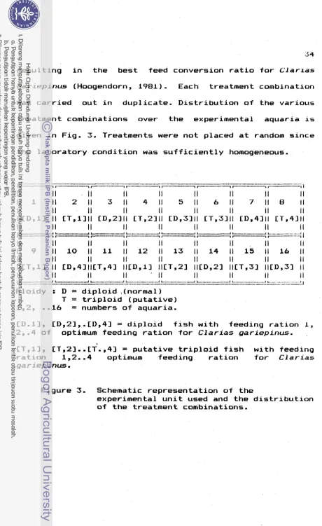 Figure 3. Schematic representation of the 