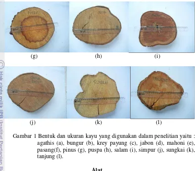 Gambar 1 Bentuk dan ukuran kayu yang digunakan dalam penelitian yaitu : 