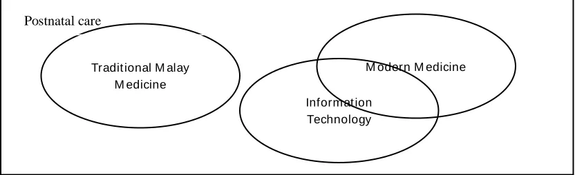 Figure 1: Information Technology gap in the domain of Traditional Malay Medicine 
