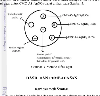 Gambar 3  Metode difusi agar 