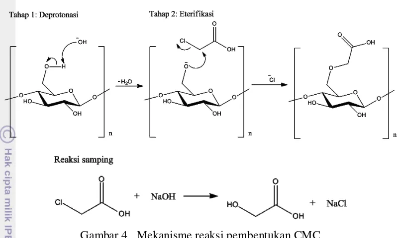 Gambar 5  Hasil sintesis CMC 