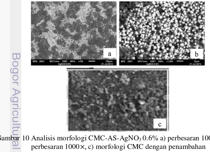 Gambar 10 Analisis morfologi CMC-AS-AgNO 3 0.6% a) perbesaran 100×, b) perbesaran 1000×, c) morfologi CMC dengan penambahan 