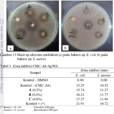 Gambar 13 Hasil uji aktivitas antibakteri a) pada bakteri uji E. coli, b) pada 