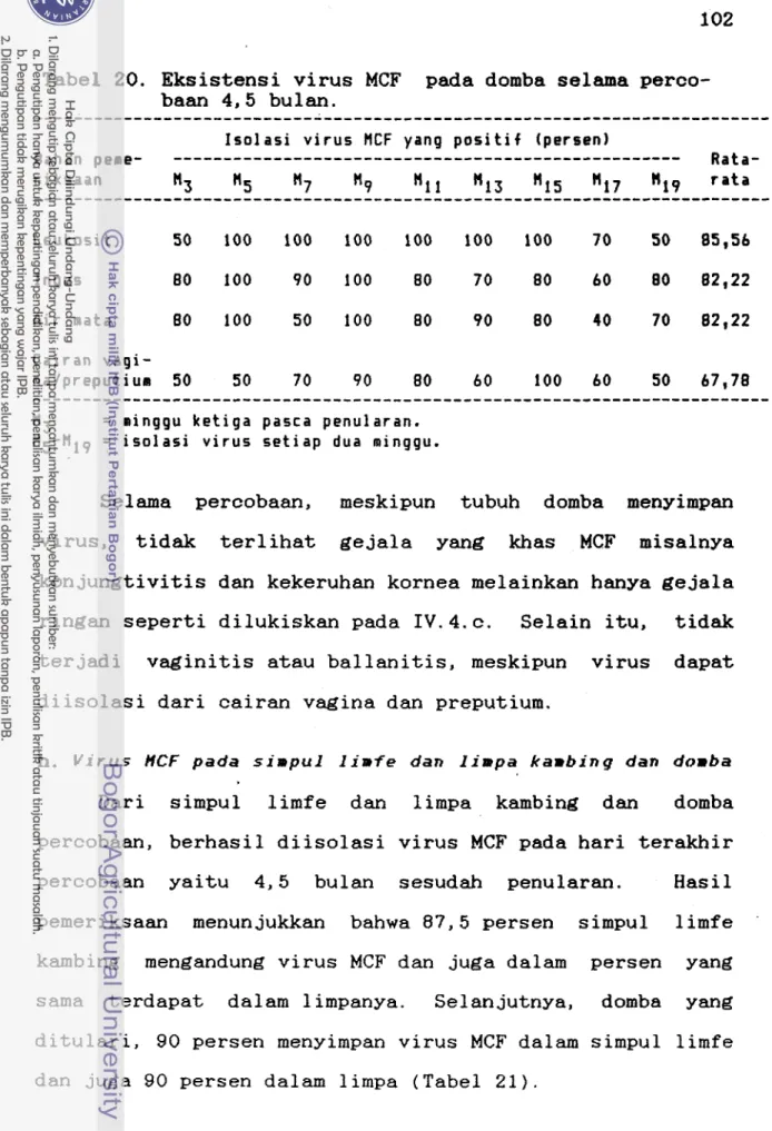Tabel  20.  Eksistensi virus  MCF  pada domba  selama  perco-  baan  4,5  bulan.  .........................................................................