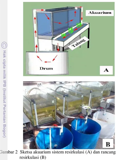 Gambar 2  Sketsa akuarium sistem resirkulasi (A) dan rancangan akuarium  resirkulasi (B) 