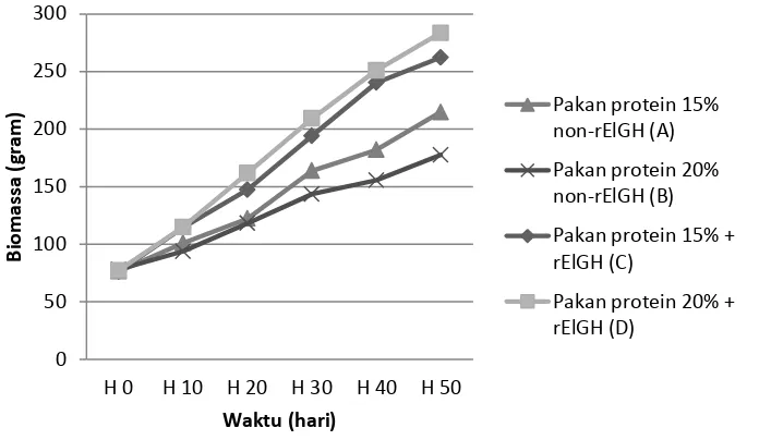 Gambar 1. Biomassa ikan nila diberi pakan kadar protein berbeda dan diperkaya hormon pertumbuhan rekombinan ikan kerapu kertang (rElGH)