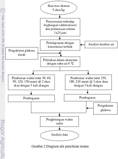 Gambar 2 Diagram alir penelitian utama  