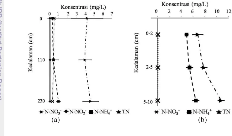 Gambar 5  Profil kelimpahan senyawa nitrogen pada kolom air (a) dan air pori 