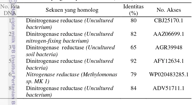 Tabel 4  Kemiripan sekuen asam amino gen nifH hasil DGGE terhadap sekuen 