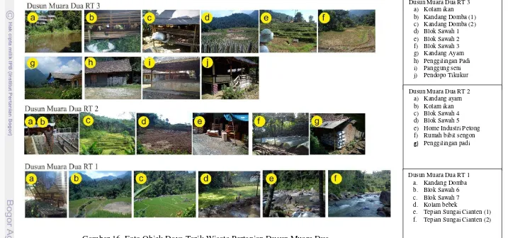 Gambar 16  Foto Objek Daya Tarik Wisata Pertanian Dusun Muara Dua 