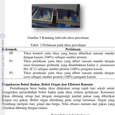 Tabel  2 Perlakuan pada tikus percobaan 