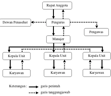 Gambar 1. Struktur internal organisasi koperasi 